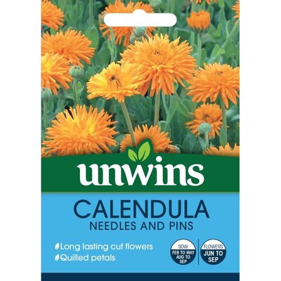 Calendula Needles And Pins