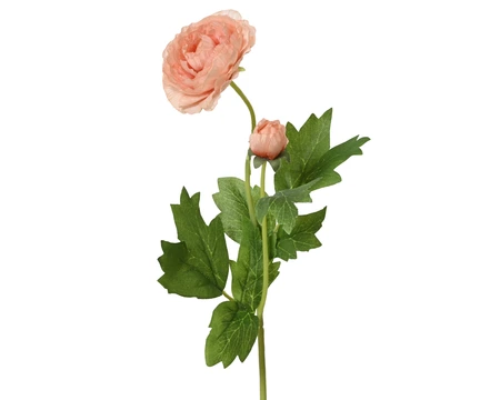 Camelia Ranunculus On Stem Polyester Peach H.57Cm