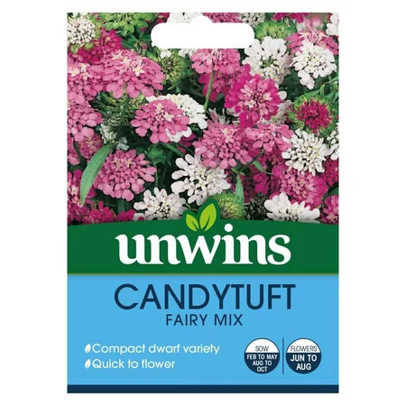 Candytuft Dwarf Fairy Mix - image 1