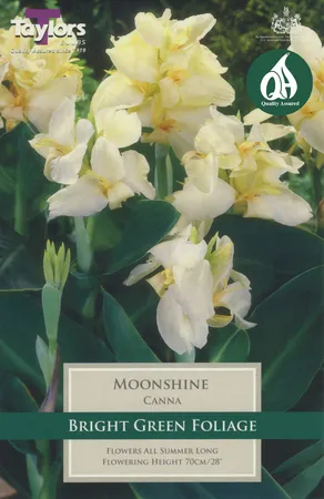 Canna Moonshine 1 Pre-Pack
