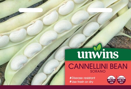 Cannellini Bean Sorano - image 1