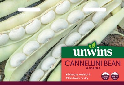 Cannellini Bean Sorano - image 2