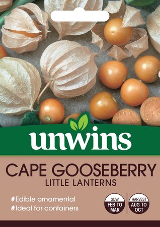 Cape Gooseberry Little Lanterns