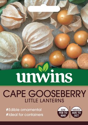 Cape Gooseberry Little Lanterns