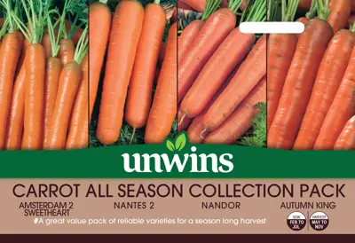 Carrot All Season Collection Pack - image 1