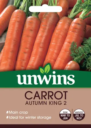 Carrot Autumn King 2 - image 1