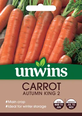 Carrot Autumn King 2 - image 2