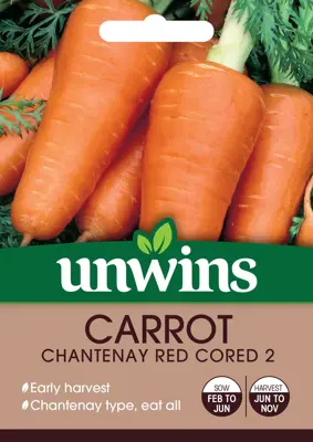 Carrot Chantenay Red Cored 2 - image 1