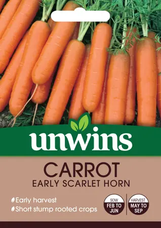 Carrot Early Scarlet Horn - image 1