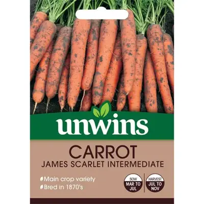 Carrot James Scarlet Intermediate