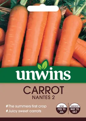 Carrot Nantes 2 - image 2