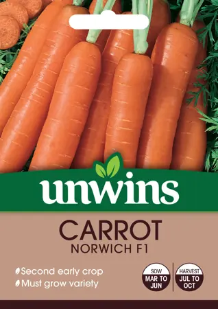 Carrot Norwich F1 - image 1