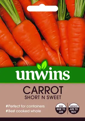 Carrot (Patio) Short N Sweet - image 2