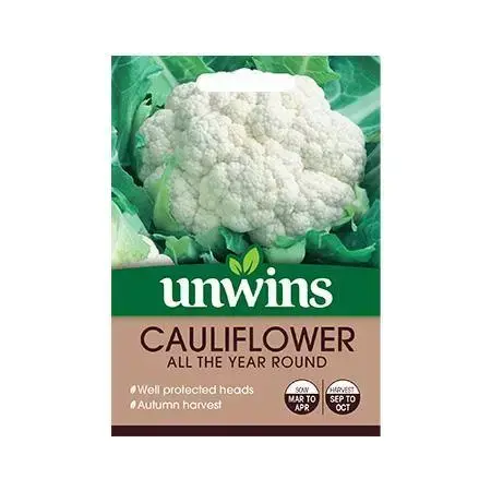 Cauliflower All The Year Round