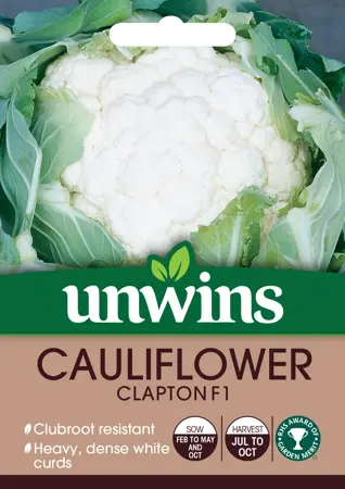 Cauliflower Clapton F1 - image 1
