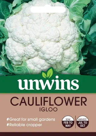 Cauliflower Igloo - image 1