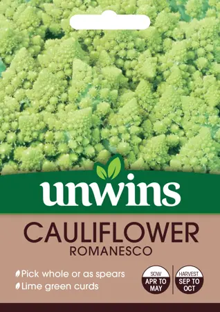 Cauliflower Romanesco - image 1