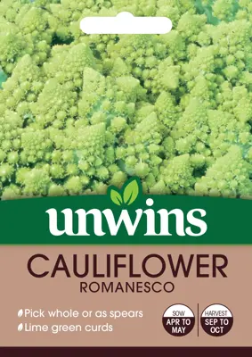 Cauliflower Romanesco - image 1