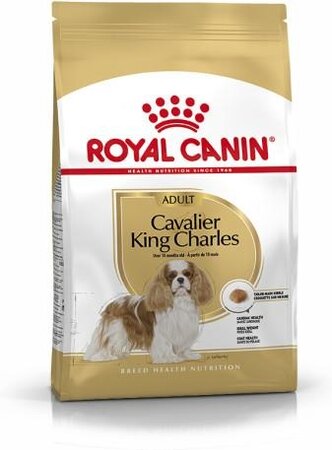 Cavalier King Charles 1.5kg