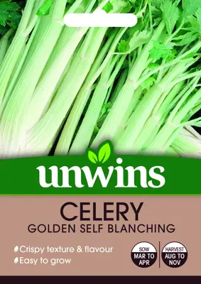 Celery Golden Self Blanching - image 2