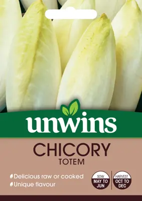 Chicory Totem - image 1