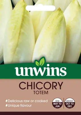 Chicory Totem - image 2