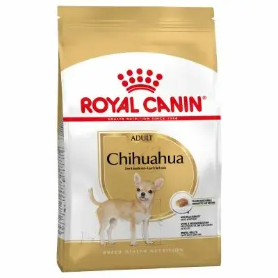 Chihuahua 1.5kg