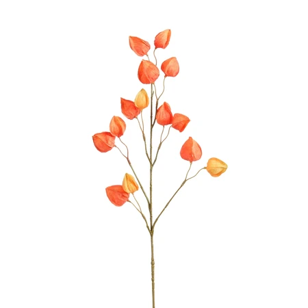 Chinese Lantern Orange  L76Cm