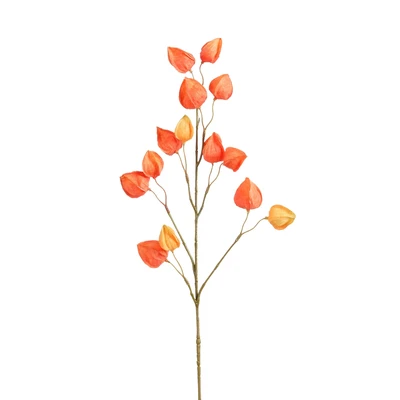 Chinese Lantern Orange  L76Cm
