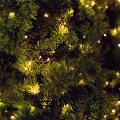 Christmas Tree Lights
