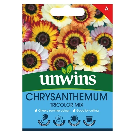 Chrysanthemum Tricolor Mix