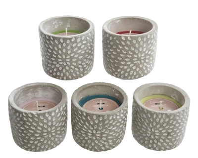 Citronella Candle Wax In Cement Pot 5Col Ass Outdoor