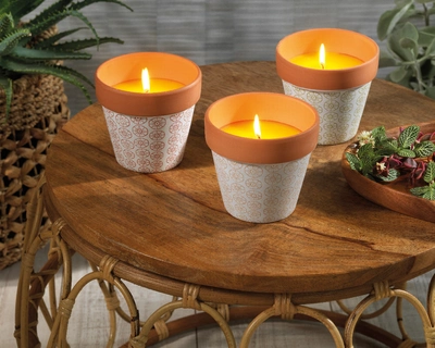 "Citronella Wax Wax In Terrac Pot Assorted" - image 2