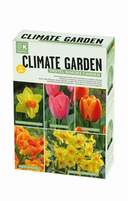 Climate Garden Box Pastel