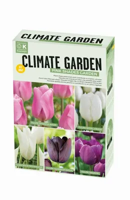 Climate Garden Box Pink