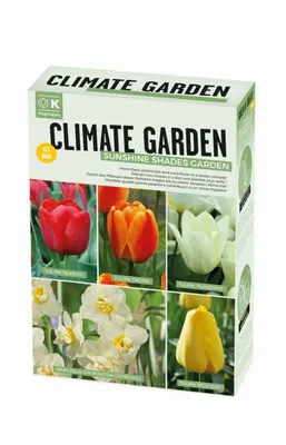 Climate Garden Box Sunshine - image 2