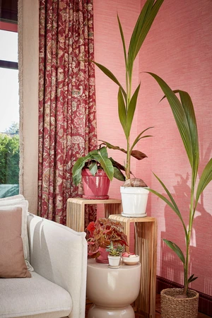 Clint Pot With Saucer Off White - H16,5Xd17Cm - image 5