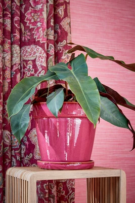 Clint Pot With Saucer Pink - H13Xd15Cm - image 3