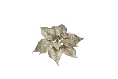 CN 30Cm White Bristle Tree Top Star