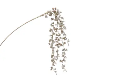 CN 45Cm Champagne Gold Glitter Drop Stem