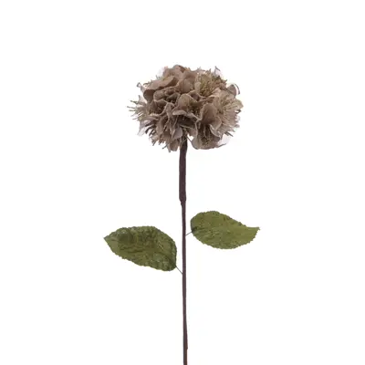 CN 60Cm Champagne Gold Hydrangea Stem