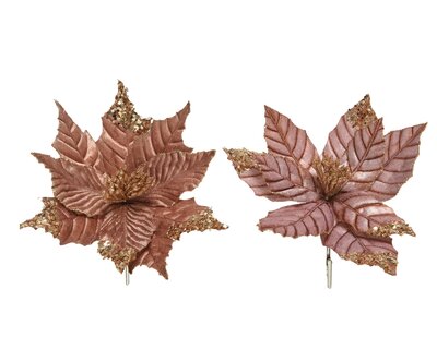 CN Flower Polyester 2Ass Terra Brown