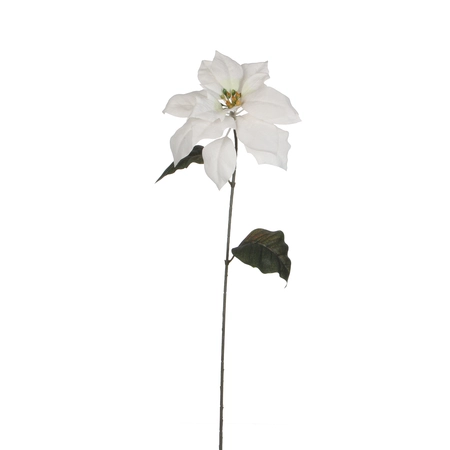 CN Poinsettia White - L71Cm