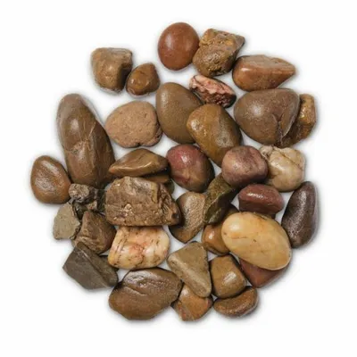 Coastal Shore Pebbles Lg - image 2