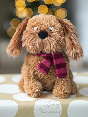 Cockapoo PlayPal - image 2