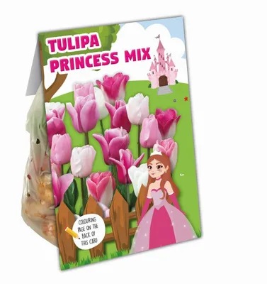 Combi Tulip Princess Mix