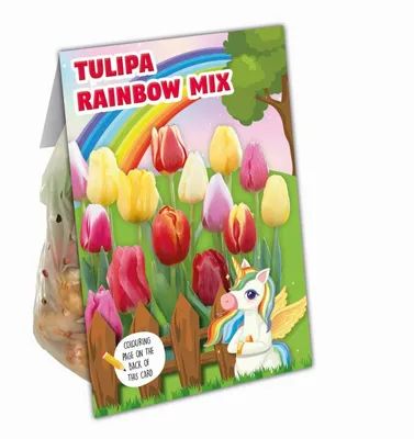 Combi Tulip Rainbow Mix
