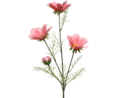 Coreopsis Polyester Pink L17-W17-H64cm