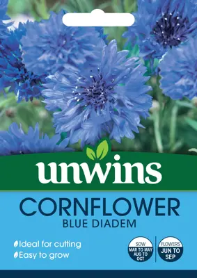 Cornflower Blue Diadem - image 2