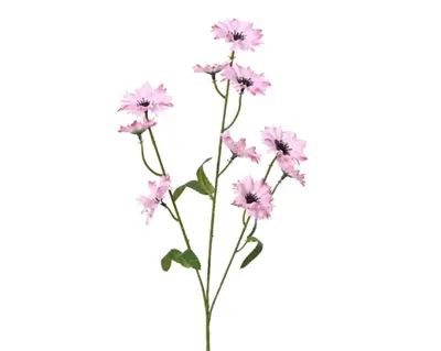 Cornflower On Stem Polyester H55.00cm soft pink